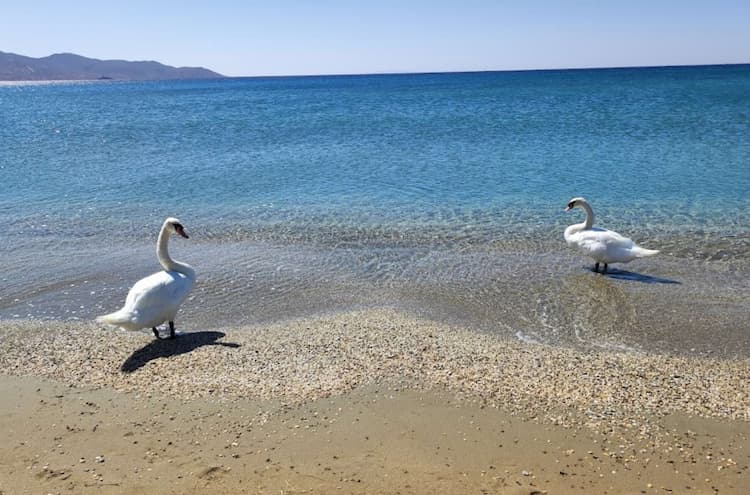 Galida Beach