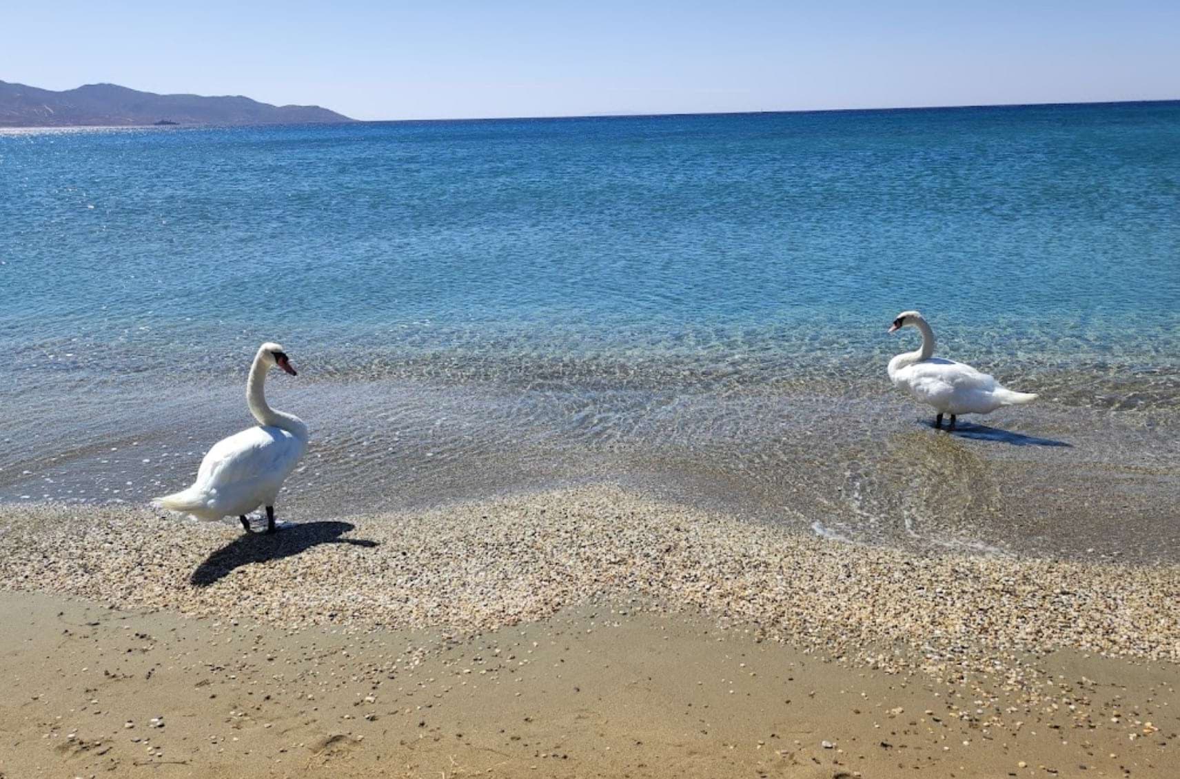 Galida Beach